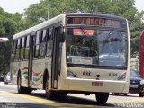 VIPE - Viação Padre Eustáquio 0769 na cidade de São Caetano do Sul, São Paulo, Brasil, por Sandro Alves. Número da foto: #2275046.