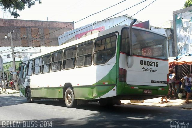 Vale Verde Transportes 08 02 15 na cidade de Santarém, Pará, Brasil, por Adelso Silva Luis Doidinho. ID da foto: 2295263.