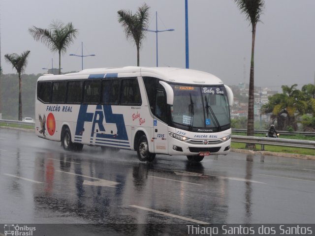 Falcão Real 1215 na cidade de Salvador, Bahia, Brasil, por Thiago Santos. ID da foto: 2296986.