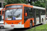 TRANSPPASS - Transporte de Passageiros 8 1158 na cidade de São Paulo, São Paulo, Brasil, por Carlos Eduardo Lopes. Número da foto: #2298075.