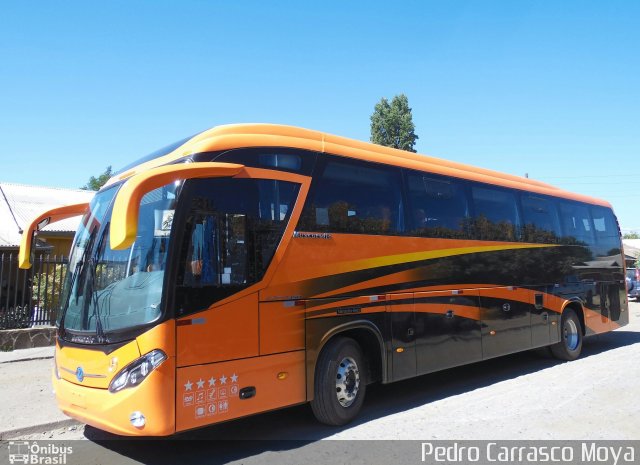 Pullman Bus  na cidade de , por Pedro Carrasco Moya. Número da foto: #2301758.