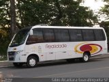 Realidade Transportes e Turismo 2012 na cidade de Guaratinguetá, São Paulo, Brasil, por Fabio Alcantara. Número da foto: #2301990.
