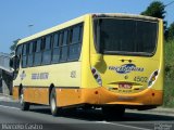Viação Vale do Ribeira 4502 na cidade de Registro, São Paulo, Brasil, por Marcelo Castro. Número da foto: #2304953.