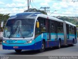 Metrobus 1036 na cidade de Goiânia, Goiás, Brasil, por Fabrício  Francisco Pires. Número da foto: #2304134.