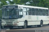 Viação Antonina 24044 na cidade de Curitiba, Paraná, Brasil, por Matheus  Augusto. Número da foto: #2310215.