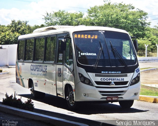 Coopertalse 030 na cidade de Aracaju, Sergipe, Brasil, por Sergio Marques . Número da foto: #2313446.