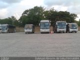 Transcol - Transportes Coletivos Ltda. 1031 na cidade de Recife, Pernambuco, Brasil, por Deivson Alvares de Lima Fernandes. Número da foto: #:id.