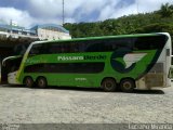 Pássaro Verde 12120 na cidade de Viçosa, Minas Gerais, Brasil, por Luciano Miranda. Número da foto: #2275515.