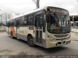 Evanil Transportes e Turismo RJ 132.066 na cidade de Nova Iguaçu, Rio de Janeiro, Brasil, por André Luiz Gomes de Souza. Número da foto: #2277206.