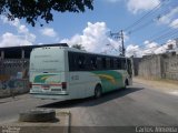 São Caetano 9132 na cidade de Nova Iguaçu, Rio de Janeiro, Brasil, por Carlos Almeida. Número da foto: #2315620.
