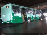 Independência > Trans Oeste Transportes 30520 na cidade de Belo Horizonte, Minas Gerais, Brasil, por Érick Pires. Número da foto: #:id.