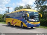 Coletivo Transportes 142 na cidade de Recife, Pernambuco, Brasil, por Luiz Carlos de Santana. Número da foto: #2325611.