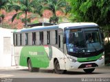 Pássaro Verde 26042 na cidade de Ponte Nova, Minas Gerais, Brasil, por Maicon Ardirson. Número da foto: #:id.