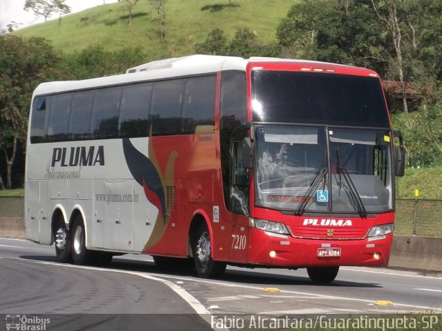 Pluma Conforto e Turismo 7210 na cidade de Guaratinguetá, São Paulo, Brasil, por Fabio Alcantara. ID da foto: 2331580.