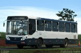 Ônibus Particulares 816 na cidade de Martinópolis, São Paulo, Brasil, por Francisco Ivano. Número da foto: #2333146.