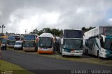Roma Tur Paranavaí 6060 na cidade de São Paulo, São Paulo, Brasil, por EDUARDO - SOROCABUS. Número da foto: #2332427.