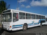 Ônibus Particulares 3625 na cidade de Natal, Rio Grande do Norte, Brasil, por Walky Martins Nascimento. Número da foto: #:id.
