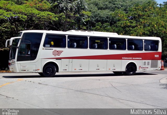 Empresa de Ônibus Pássaro Marron 5020 na cidade de São Paulo, São Paulo, Brasil, por Matheus Silva. Número da foto: #2277928.