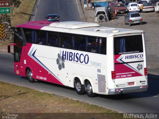 Hibisco Turismo 1000 na cidade de Belo Horizonte, Minas Gerais, Brasil, por Matheus Adler. Número da foto: #2337189.