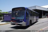 Viação Bertioga BE-556 na cidade de Guarujá, São Paulo, Brasil, por Ricardo Luiz. Número da foto: #2337612.