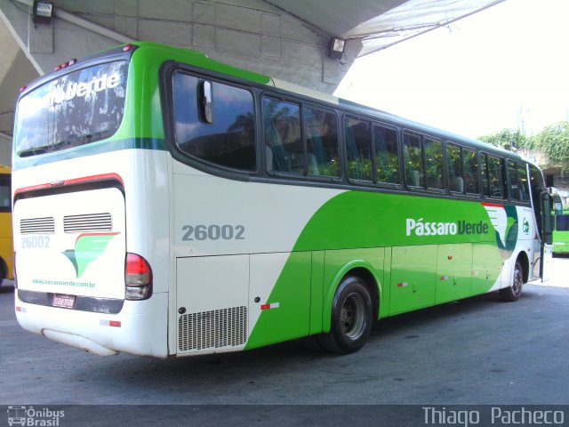 Pássaro Verde 26002 na cidade de Belo Horizonte, Minas Gerais, Brasil, por Thiago  Pacheco. ID da foto: 2281469.