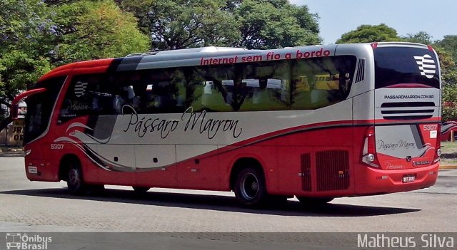 Empresa de Ônibus Pássaro Marron 5307 na cidade de São Paulo, São Paulo, Brasil, por Matheus Silva. Número da foto: #2281759.