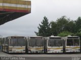 Sucata e Desmanches 553 na cidade de Itapecerica da Serra, São Paulo, Brasil, por Rafael Santos Silva. Número da foto: #2281456.