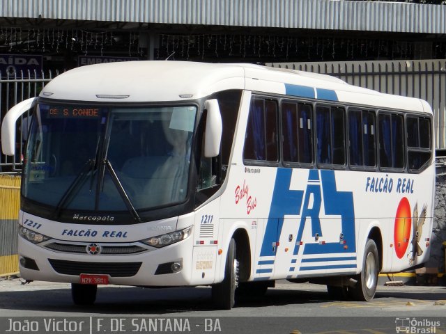 Falcão Real 1211 na cidade de Feira de Santana, Bahia, Brasil, por João Victor. ID da foto: 2283085.