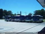 KS Turismo 135 na cidade de Rio Grande, Rio Grande do Sul, Brasil, por Nathanael  Serra. Número da foto: #:id.