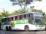Cia. São Geraldo de Viação 3091 na cidade de São Paulo, São Paulo, Brasil, por Sandro Alves. Número da foto: #2283288.