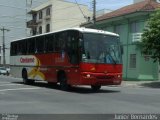 Ozelame Transportes 2029 na cidade de Caxias do Sul, Rio Grande do Sul, Brasil, por Junior Bernardes . ID da foto: :id.