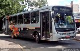 Nossa Senhora de Fátima Auto Ônibus 331 na cidade de Bragança Paulista, São Paulo, Brasil, por Matheus Silva. Número da foto: #2289793.
