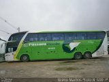 Pássaro Verde 12126 na cidade de Capelinha, Minas Gerais, Brasil, por Breno Martins. Número da foto: #2292104.