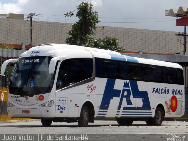 Falcão Real 23160 na cidade de Feira de Santana, Bahia, Brasil, por João Victor. Número da foto: #2832638.