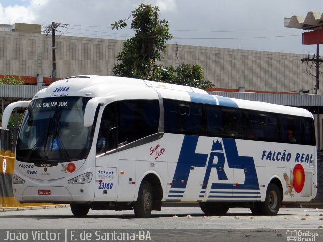 Falcão Real 23160 na cidade de Feira de Santana, Bahia, Brasil, por João Victor. ID da foto: 2832638.