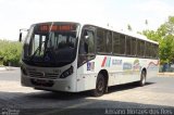 Eliz-Line Transporte e Turismo 1401 na cidade de Agudos, São Paulo, Brasil, por Adriano Moraes dos Reis. Número da foto: #2831668.