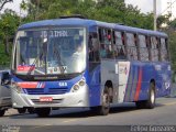 Viação São Camilo 585 na cidade de Santo André, São Paulo, Brasil, por Felipe Gonzales. ID da foto: :id.