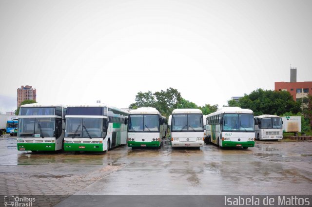 Verde Transportes 2005 na cidade de Cuiabá, Mato Grosso, Brasil, por Isabela de Mattos. ID da foto: 2838421.