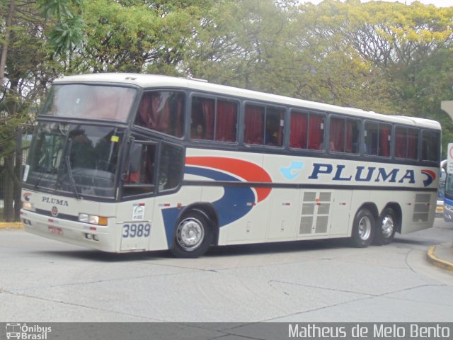 Pluma Conforto e Turismo 3989 na cidade de São Paulo, São Paulo, Brasil, por Matheus de Melo Bento. Número da foto: #2838067.