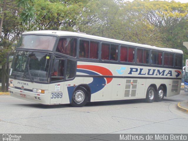 Pluma Conforto e Turismo 3989 na cidade de São Paulo, São Paulo, Brasil, por Matheus de Melo Bento. ID da foto: 2838067.