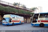 Transporte Coletivo Santa Maria 273 na cidade de Belo Horizonte, Minas Gerais, Brasil, por Pedro Henrique Gumercindo da Silva. Número da foto: #2838910.