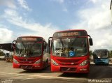 Rondônia Transportes 0112080 na cidade de Manaus, Amazonas, Brasil, por Vicente Pinto Moreira. Número da foto: #2842913.