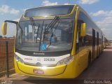 Viação Pioneira 226203 na cidade de Brasília, Distrito Federal, Brasil, por Ronan dos Reis. Número da foto: #2843820.