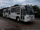 Auto Viação Critur 258 na cidade de Criciúma, Santa Catarina, Brasil, por Cleber  Mariot do Nascimento. Número da foto: #2844173.