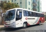 Rouxinol 440 na cidade de Belo Horizonte, Minas Gerais, Brasil, por Pedro Henrique Gumercindo da Silva. Número da foto: #2850224.