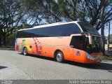 Chilebus Internacional 223 na cidade de São Paulo, São Paulo, Brasil, por André Evangelista Braga. Número da foto: #2812969.