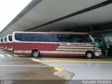 Santa Maria Fretamento e Turismo > Transportes Santa Maria(SP) 300 na cidade de Botucatu, São Paulo, Brasil, por Agnaldo Penides. Número da foto: #2812905.