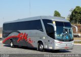 Style Bus 4200 na cidade de Ribeirão Vermelho, Minas Gerais, Brasil, por Pedro Henrique Gumercindo da Silva. Número da foto: #2856886.