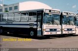 Leste Transportes 8019-7 na cidade de Goiânia, Goiás, Brasil, por Carlos Júnior. Número da foto: #2863552.