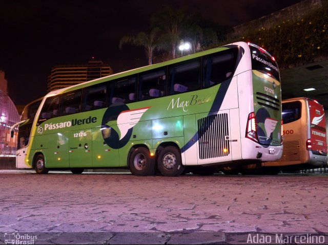 Pássaro Verde 12126 na cidade de Belo Horizonte, Minas Gerais, Brasil, por Adão Raimundo Marcelino. Número da foto: #2866911.